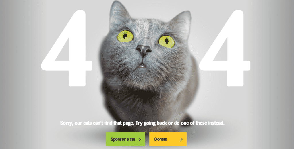 cat 404